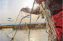 Рыбакам Октябрьского района напоминают об учете сетных орудий добычи водных биоресурсов